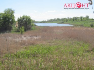 592bc0a1b3f83_18789594_1427155860687652_1988103879_o (1)      